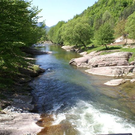 Семеен Хотел Федора Ribaritsa Dış mekan fotoğraf