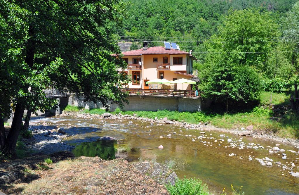 Семеен Хотел Федора Ribaritsa Dış mekan fotoğraf