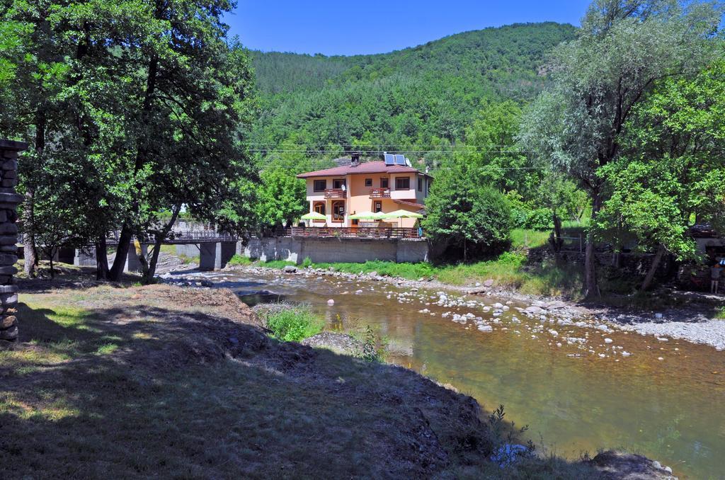 Семеен Хотел Федора Ribaritsa Dış mekan fotoğraf