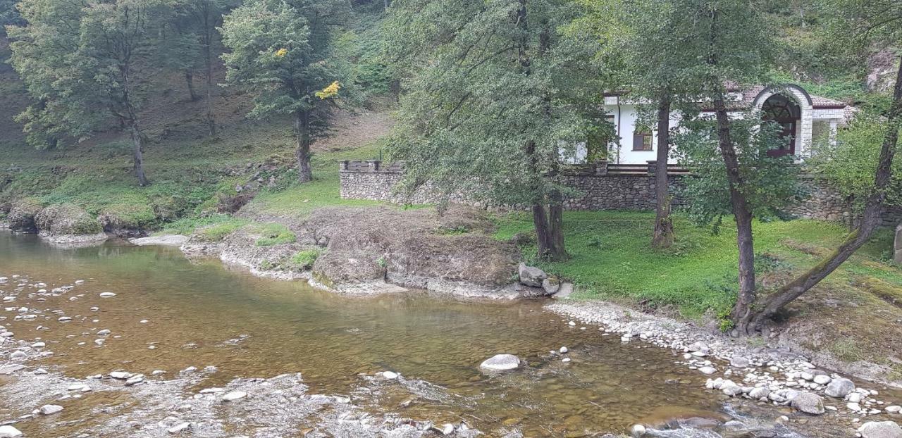 Семеен Хотел Федора Ribaritsa Dış mekan fotoğraf