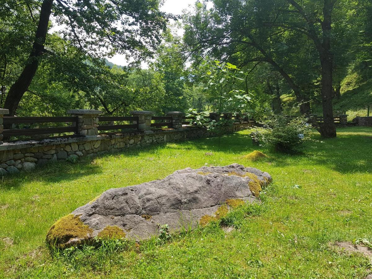 Семеен Хотел Федора Ribaritsa Dış mekan fotoğraf