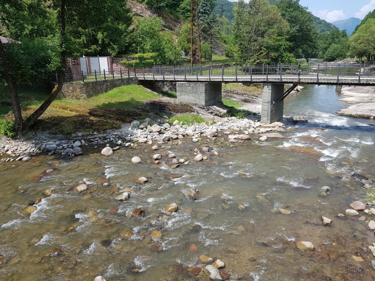 Семеен Хотел Федора Ribaritsa Dış mekan fotoğraf