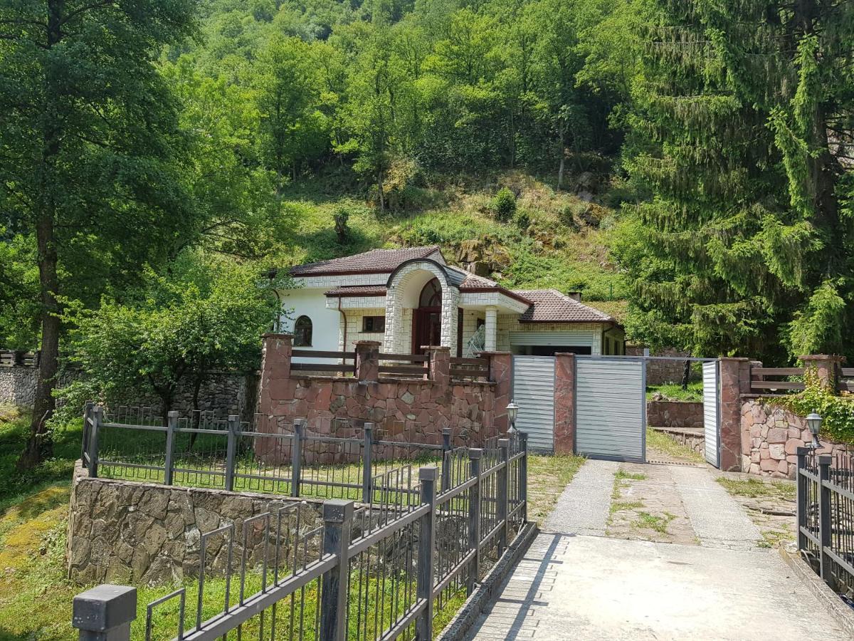 Семеен Хотел Федора Ribaritsa Dış mekan fotoğraf