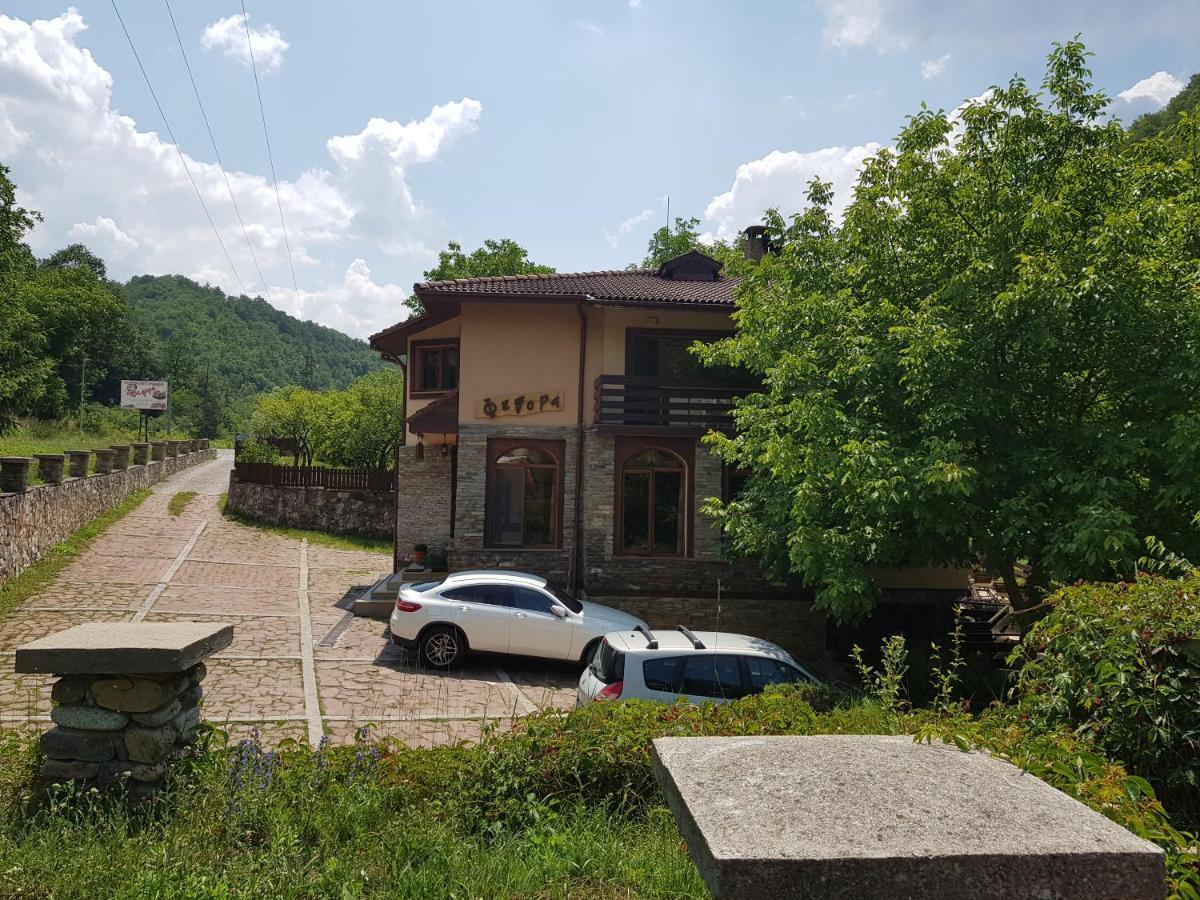 Семеен Хотел Федора Ribaritsa Dış mekan fotoğraf