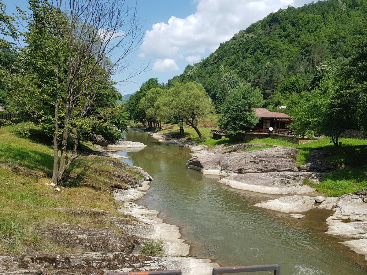 Семеен Хотел Федора Ribaritsa Dış mekan fotoğraf